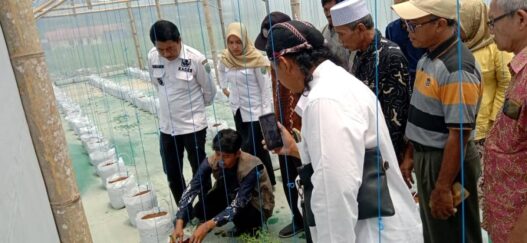 Pemdes Gemeksekti Alokasikan DD Rp 258 Juta