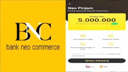 Penyebab dan Solusi Mengatasi Pengajuan Neo Pinjam Ditolak