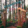 Pesona Hutan Pinus di Bukit Sikepel Purworejo