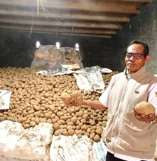 Petani Kentang Dieng Terancam Tekor
