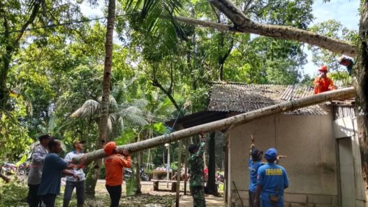Pohon Alba Tumbang Timpa Rumah Warga
