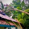 Pohon Tumbang Timpa Rumah Warga Srati