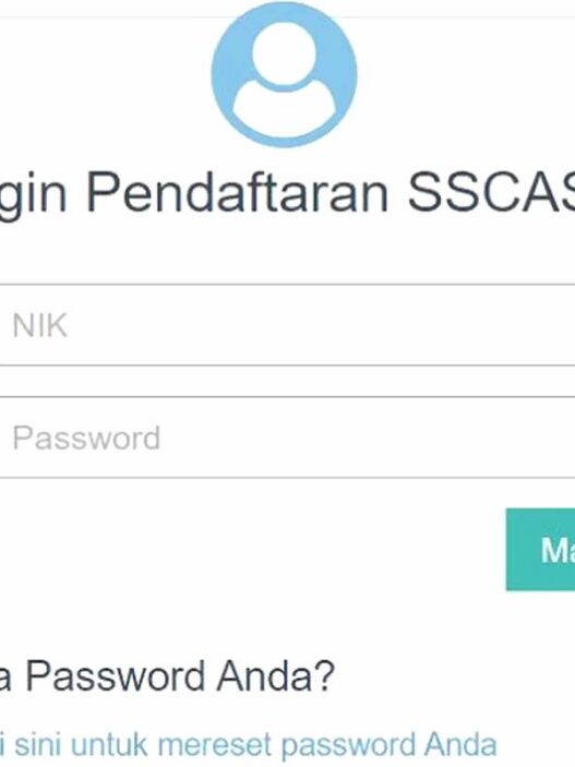 Portal SSCASN BKN mengalami gangguan akses saat pendaftaran CPNS berlangsung