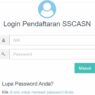Portal SSCASN BKN mengalami gangguan akses saat pendaftaran CPNS berlangsung