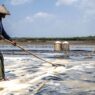 Produksi Garam Stagnan Kisaran 1 Juta Ton