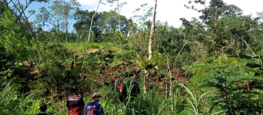Retakan Tanah Capai 60 Meter