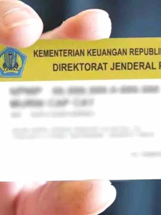 Saat ini, Direktorat Jenderal Pajak menyediakan dua mekanisme pengurusan NPWP, yaitu secara online maupun secara langsung di kantor pajak