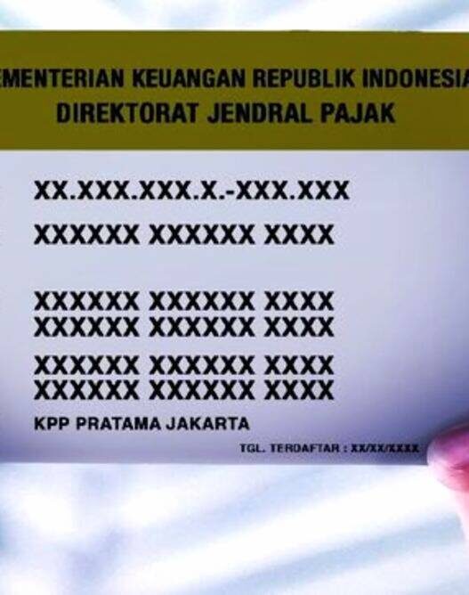Tata Cara Daftar NPWP Online di Coretax untuk Wajib Pajak Orang Pribadi