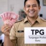 Tpg