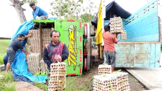 Truk Muatan Telur Terguling