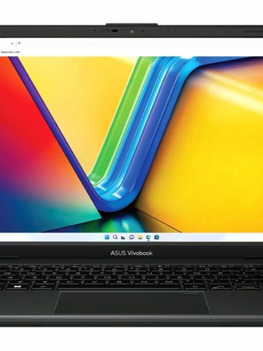 Vivobook go
