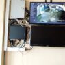 Warga Buang Sampah Terekam CCTV