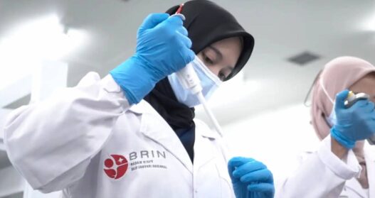 Bangun karier akademik dan profesional berbasis riset melalui Beasiswa BRIN Degree by Research