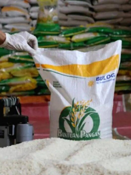 Bansos Beras 10 Kg dan Minyak 2 Liter Ramadhan 2026 Segera Disalurkan
