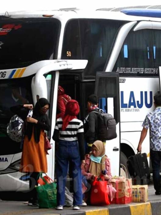 Bis mudik