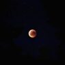 Bulan merah total