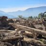 Hutan Lindung Aceh Tamiang Dibabat