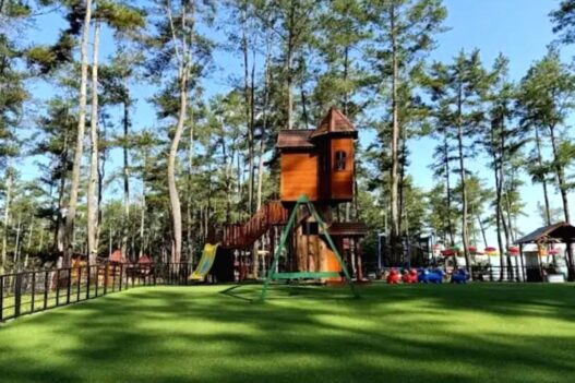 Kemit Forest Education Cilacap Destinasi Alam Unggulan
