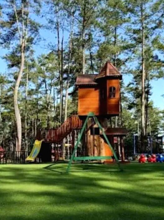 Kemit Forest Education Cilacap Destinasi Alam Unggulan
