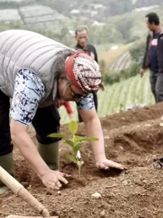 Kopi Arabika untuk Ekonomi dan Konservasi Lahan