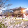 Kota korea selatan