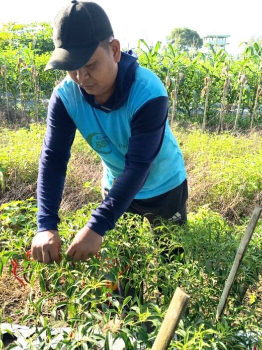 Menjadi Petani Adalah Panggilan Hati