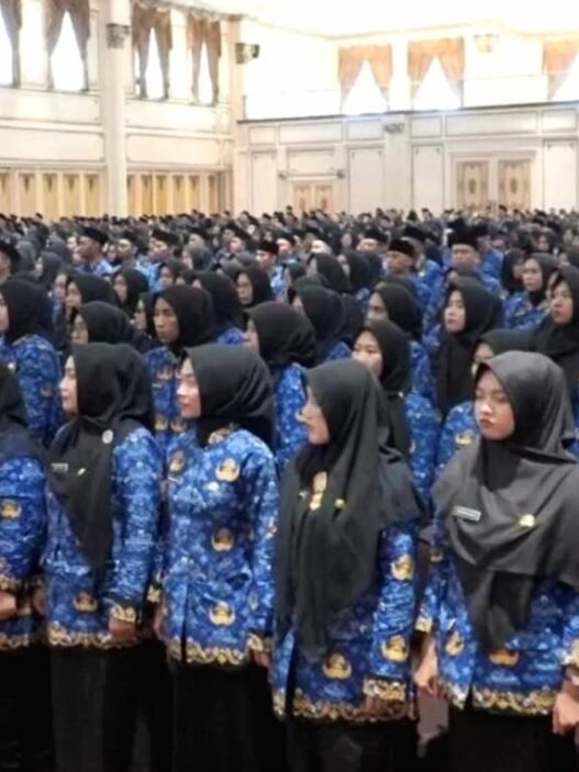 Penjelasan Lengkap Tentang Isu Penghapusan Status PNS dan PPPK Pada