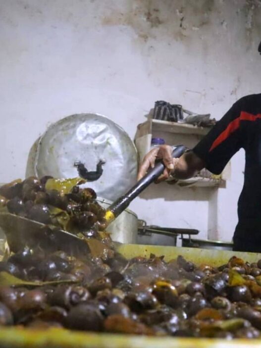 Penjualan Tembus 100 Kilo per Hari, Omzet Capai Rp 6 Juta