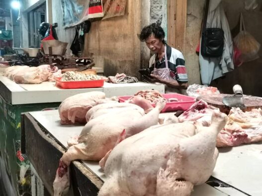 Permintaan Naik Tapi Harga Ayam Turun