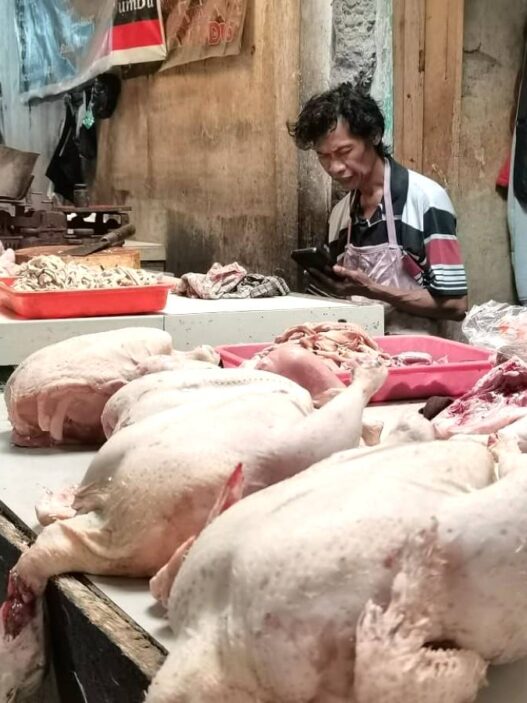 Permintaan Naik Tapi Harga Ayam Turun