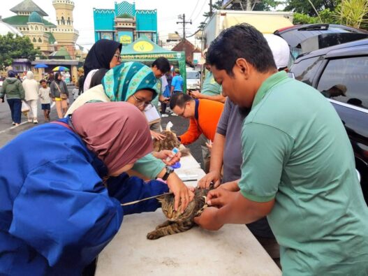 Puskeswan Antisipasi Penularan Penyakit Hewan
