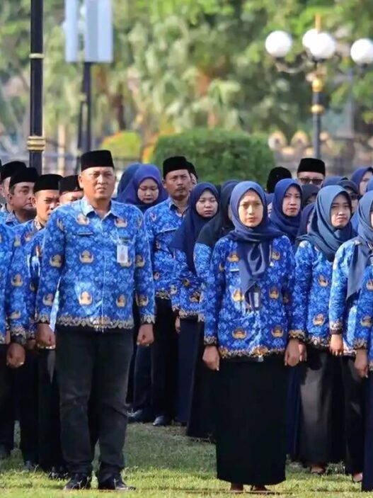 Rincian Jaminan Kesejahteraan PPPK Paruh Waktu dari Pemerintah Menurut UU ASN