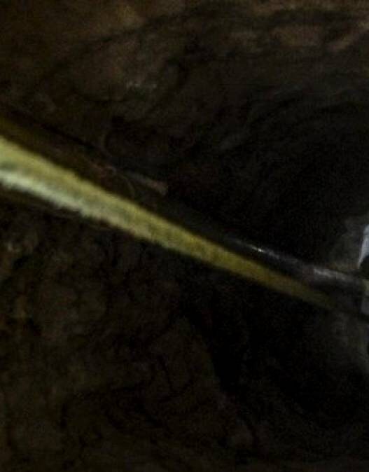 Rp992 Triliun Dana PETI Terendus