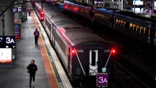 Ular Menyusup ke Peron Stasiun Sydney