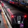 Ular Menyusup ke Peron Stasiun Sydney