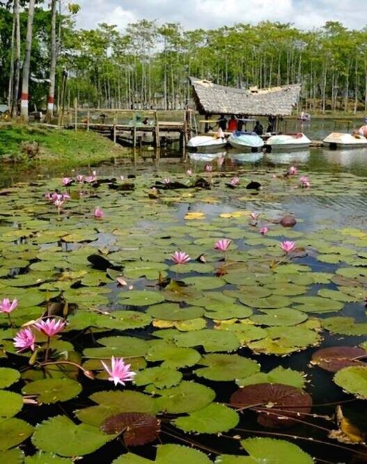 Waduk Kubangkangkung Jadi Wisata Alam di Cilacap yang Hadirkan View Hutan Jati dan Suasana Asri