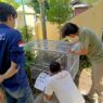 Warga Pelihara Satwa Liar Elang Brontok