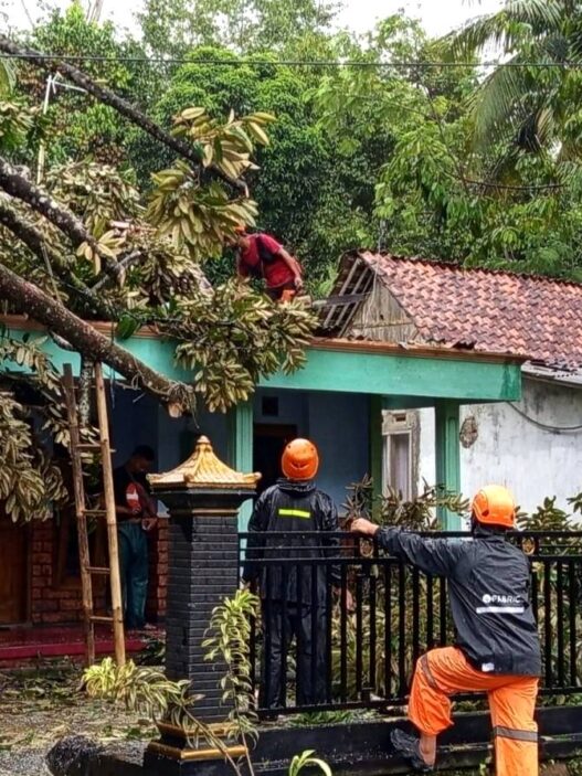44 Kejadian Didominasi Pohon Tumbang