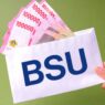 Bsu