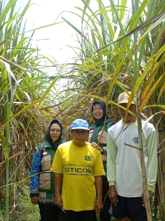 DPPP Siapkan Ekstensifikasi 70 Ha Lahan Tebu
