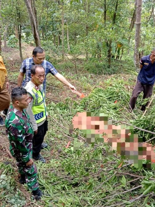 Petani Ditemukan Meninggal saat Panen Jenitri