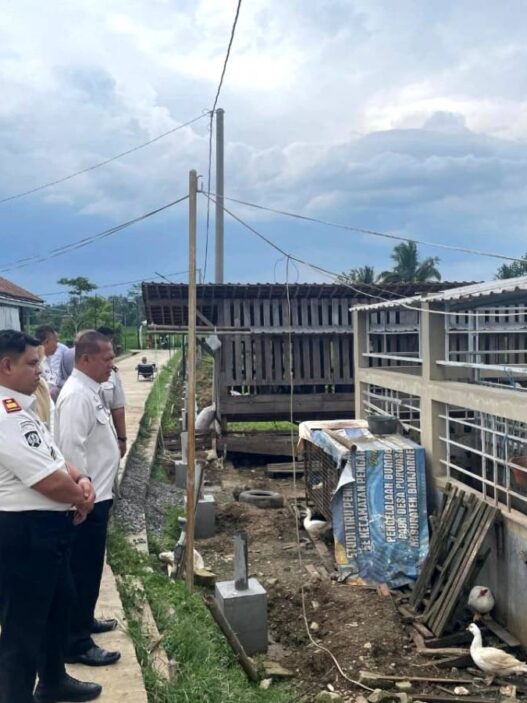 Peternakan Jadi Pembinaan Baru Warga Binaan