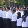 Pppk paruh waktu