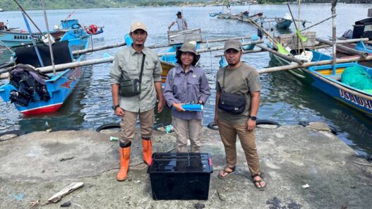 Sanca Kembang Dilepasliarkan di Nusakambangan