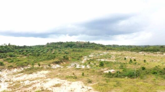 Tanah