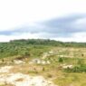 Tanah