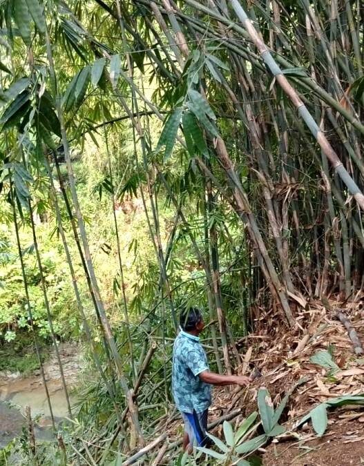 Akses Jembatan Gantung Dipersiapkan