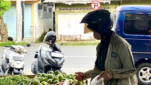 Belanja Sayur Segar Tanpa Ribet