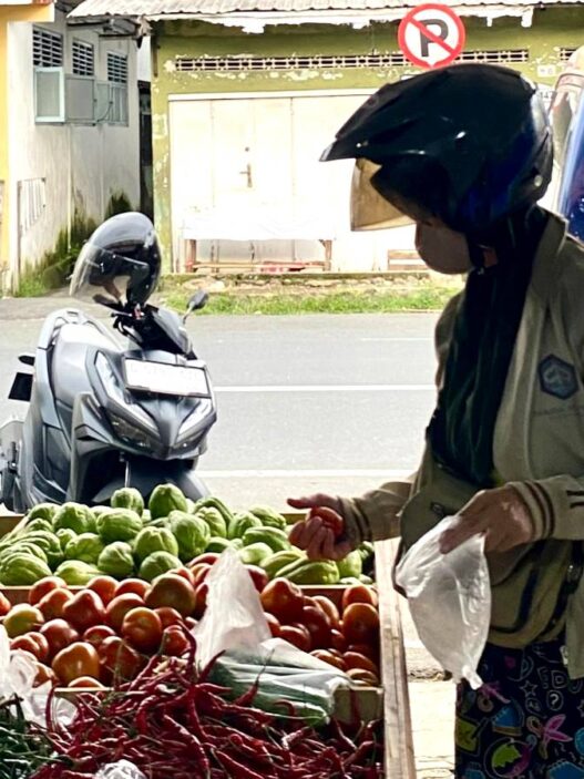 Belanja Sayur Segar Tanpa Ribet