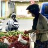 Belanja Sayur Segar Tanpa Ribet